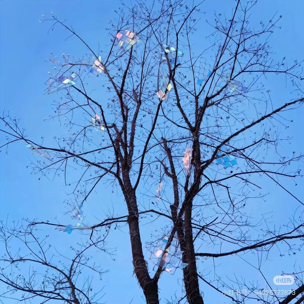 Trận Văn Trường Sinh