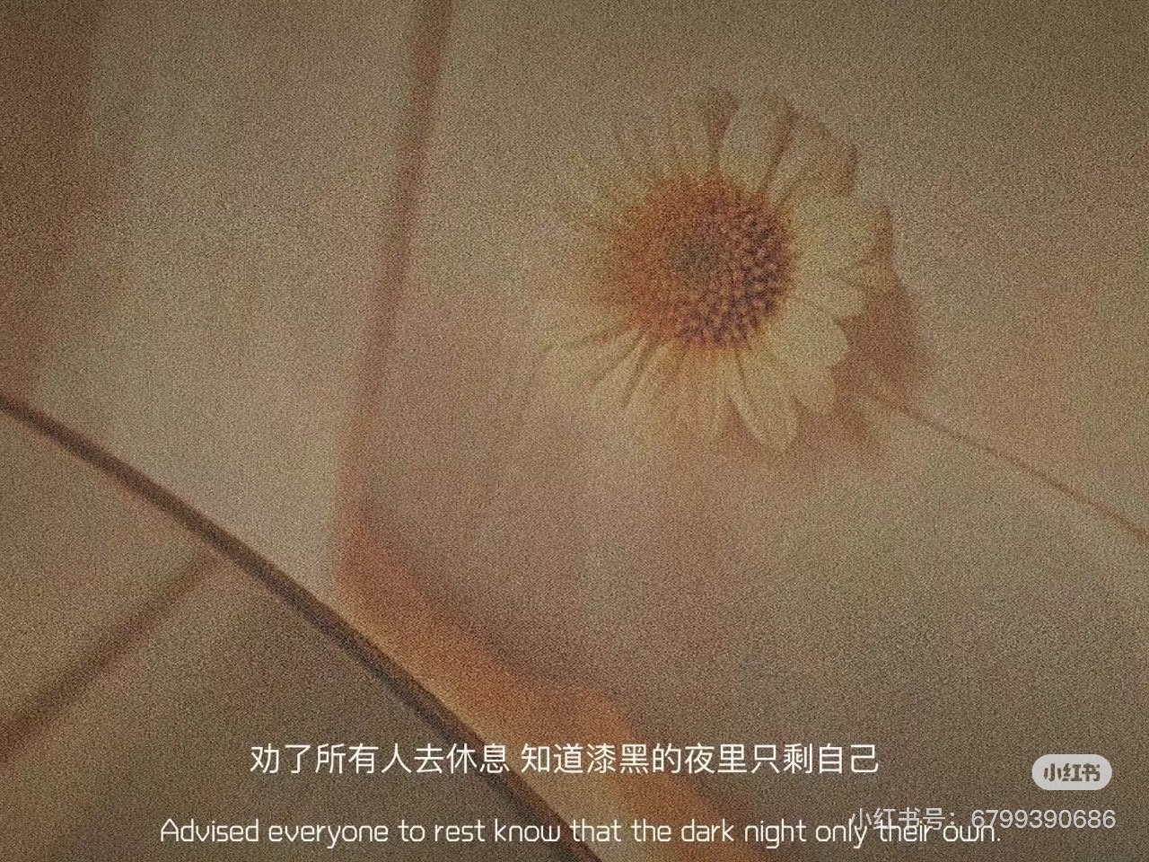 Trận Văn Trường Sinh