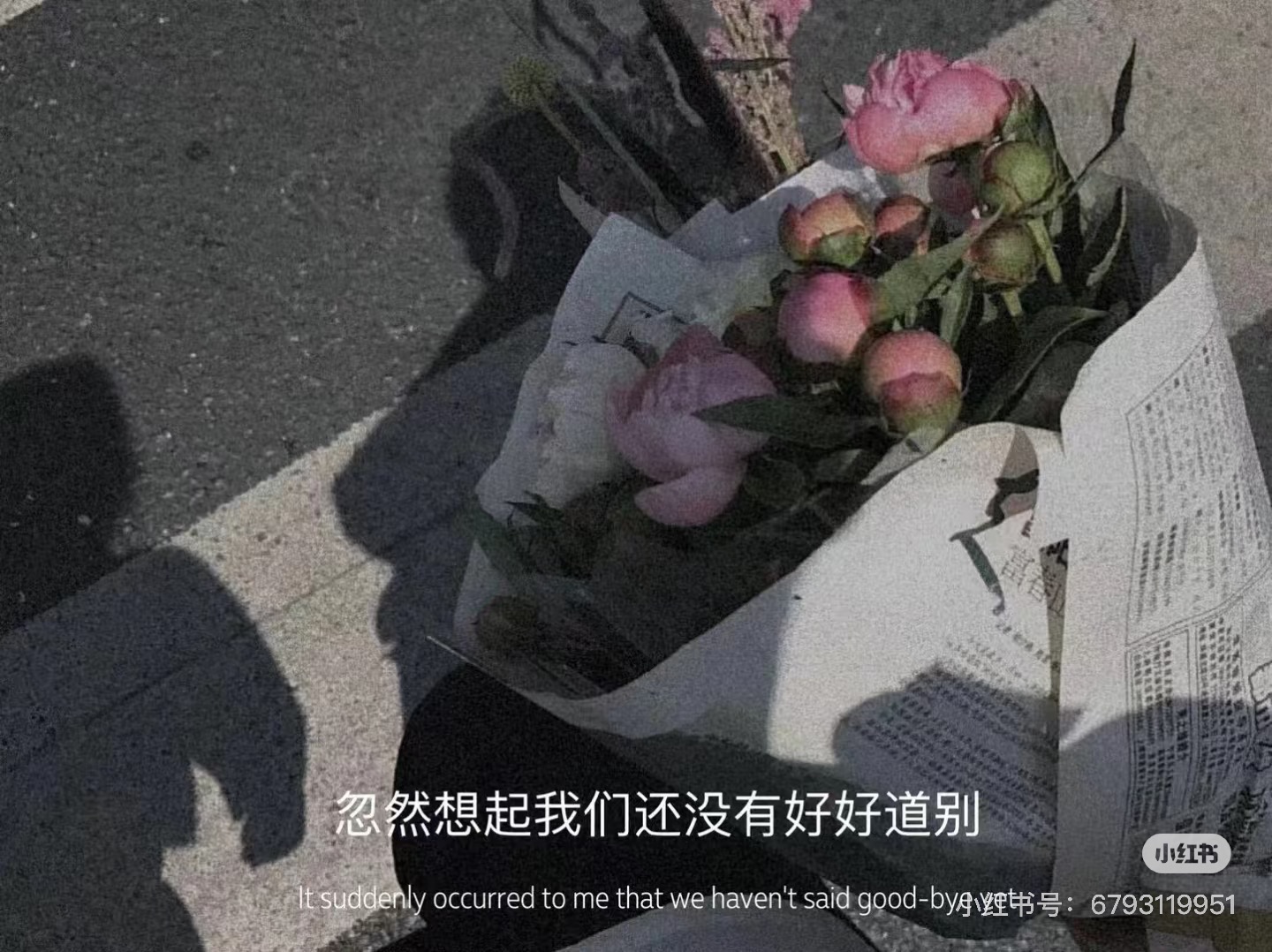 ÁNH TRĂNG LỤI TÀN