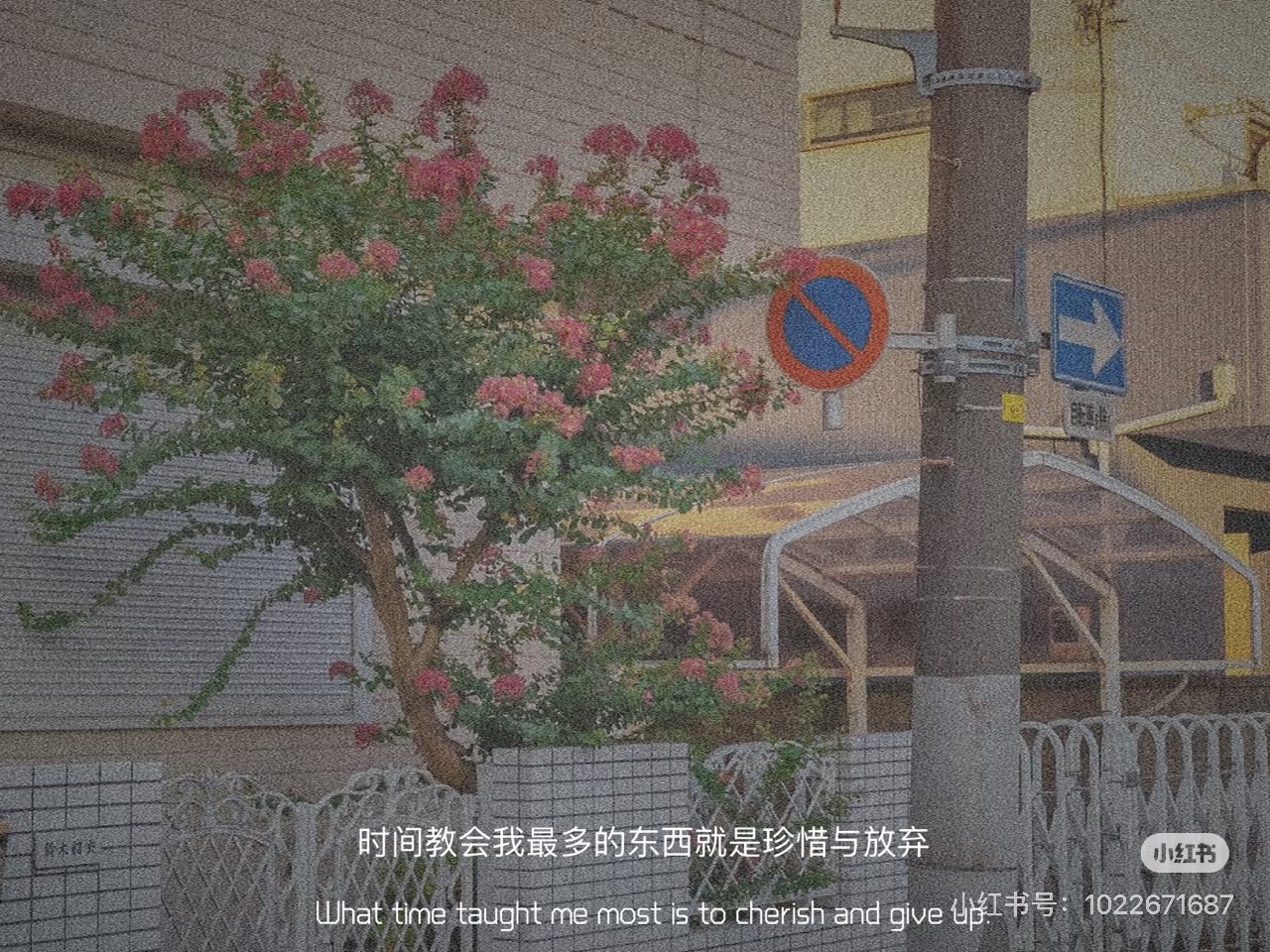 VỰC THẲM SA NGÃ