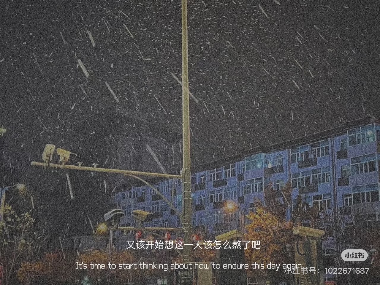 HOÁ RA GẢ CHO ANH LẠI ĐAU THƯƠNG NHƯ THẾ