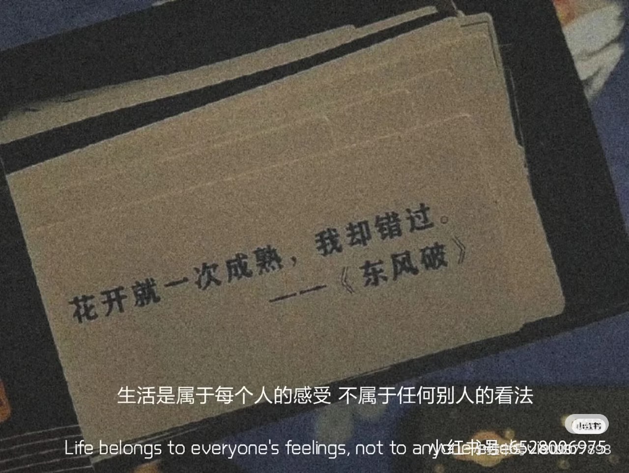 NHƯ MONG MUỐN CỦA ANH