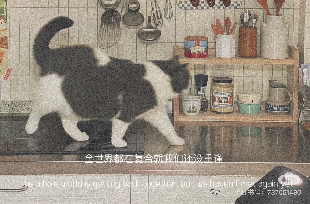 GIÓ THỔI ĐI NHỮNG KÝ ỨC CŨ