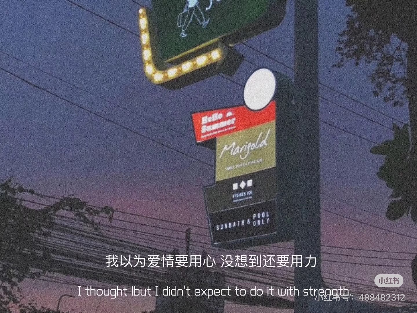 TRÙNG SINH SAU ĐỐNG TRO TÀN