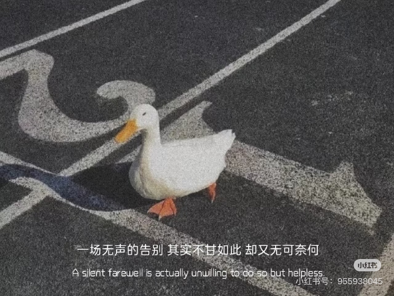 HÔN NHÂN KHÔNG THỂ CỨU VÃN