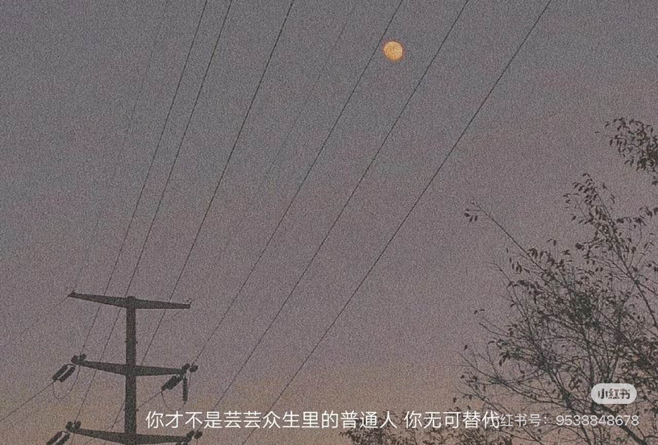 HƯỚNG VỀ TÌNH YÊU