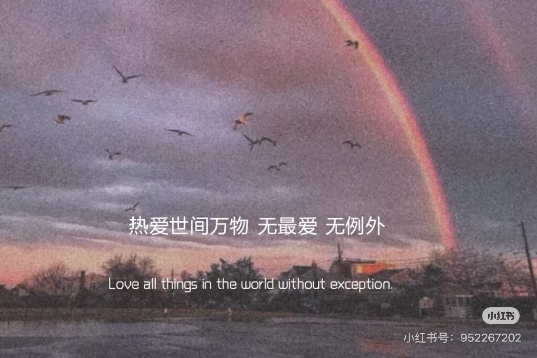 SAU KHI TÔI QUA ĐỜI, ANH ẤY MỚI YÊU TÔI