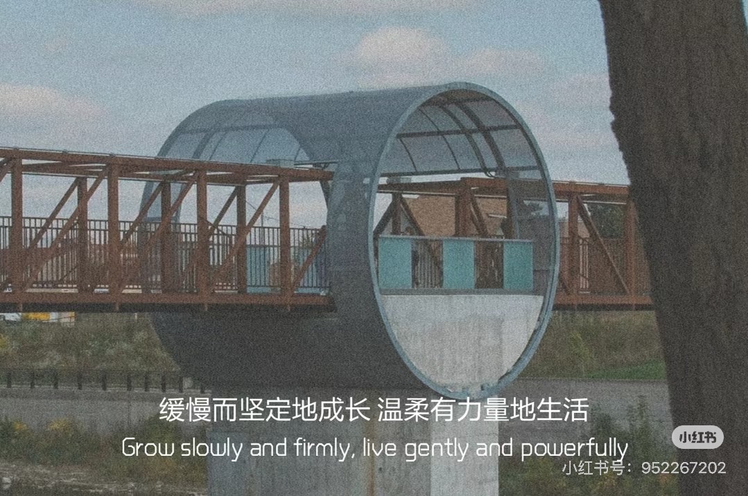 BỎ QUA NHỮNG LỜI HỨA HẸN CỦA ANH